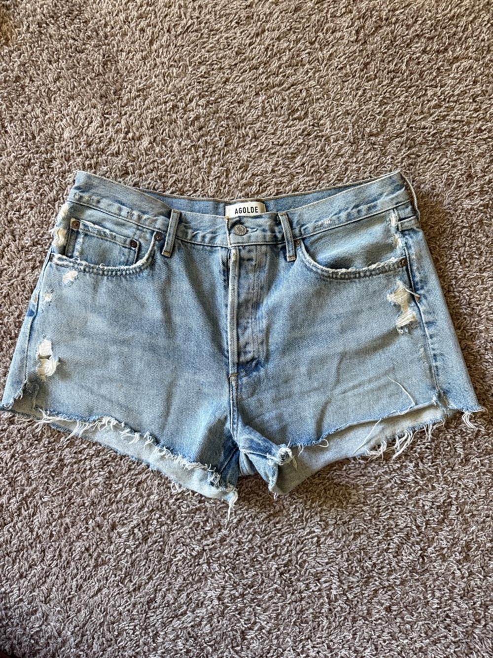Agolde Classic Light Blue Parker Denim Cutoff Shorts
